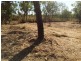 265 Litchfield Park Road, Acacia Hills NT 0822