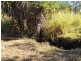 265 Litchfield Park Road, Acacia Hills NT 0822