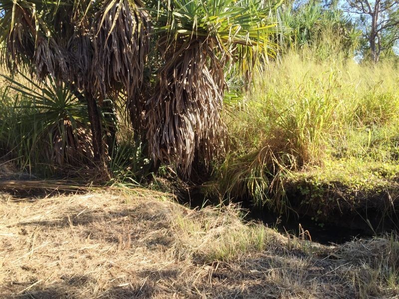 265 Litchfield Park Road, Acacia Hills NT 0822