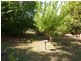 8 Turana Street, Batchelor NT 0845