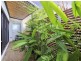 2 Morton Street, Durack NT 0830