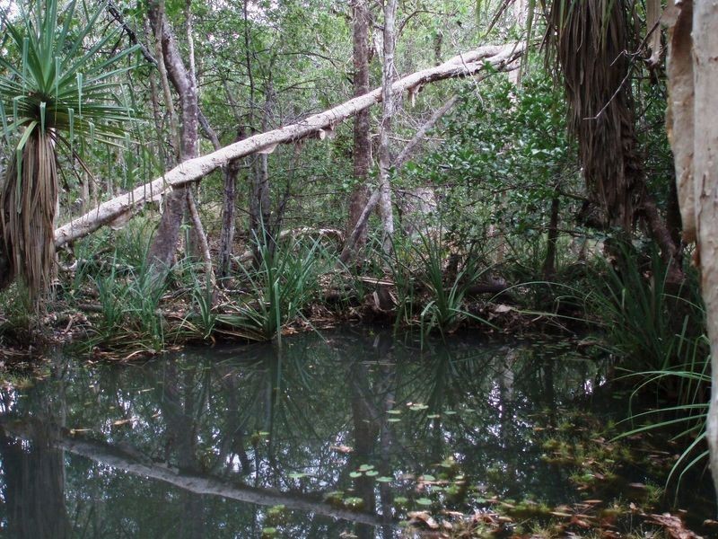 75 Barramundi Drive, Dundee Downs NT 0840