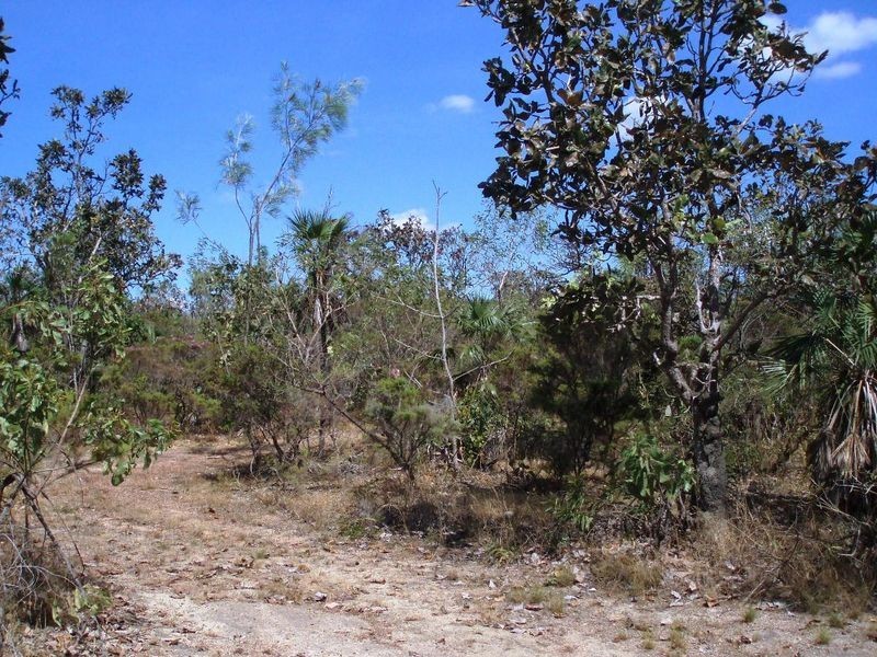 75 Barramundi Drive, Dundee Downs NT 0840