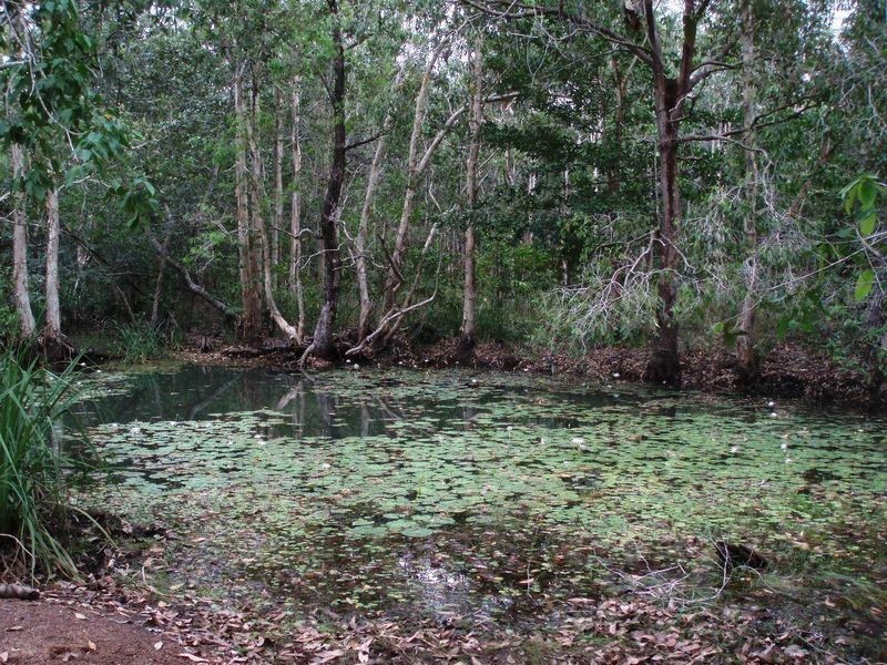75 Barramundi Drive, Dundee Downs NT 0840