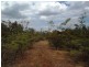 75 Barramundi Drive, Dundee Downs NT 0840