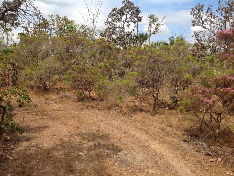 75 Barramundi Drive, Dundee Downs NT 0840