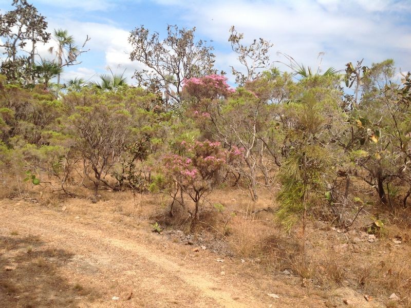 75 Barramundi Drive, Dundee Downs NT 0840