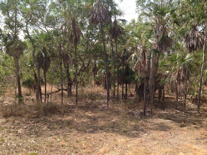 75 Barramundi Drive, Dundee Downs NT 0840