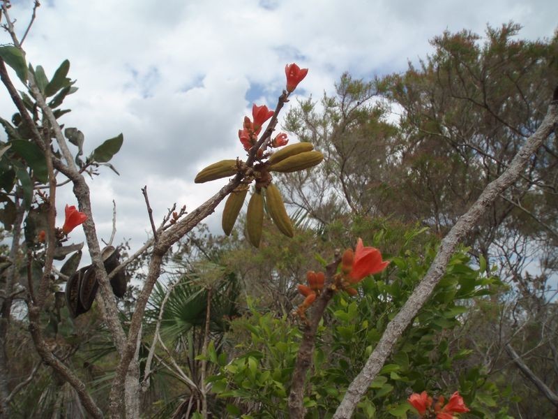 75 Barramundi Drive, Dundee Downs NT 0840