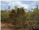 75 Barramundi Drive, Dundee Downs NT 0840