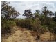 75 Barramundi Drive, Dundee Downs NT 0840