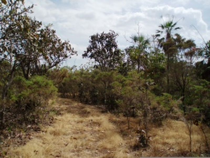 75 Barramundi Drive, Dundee Downs NT 0840