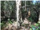 150 Erickson Crescent, Wagait Beach NT 0822
