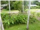 17 Turana Street, Batchelor NT 0845