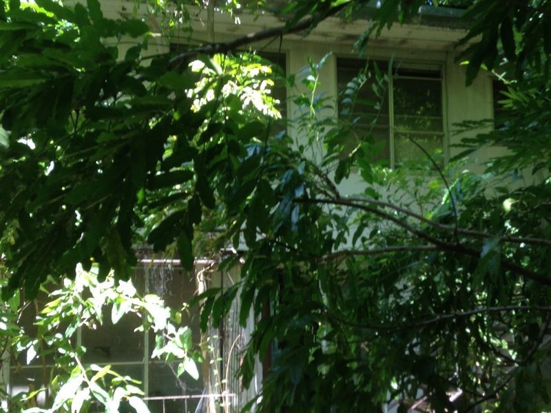 63 Thornton Crescent, Moil NT 0810