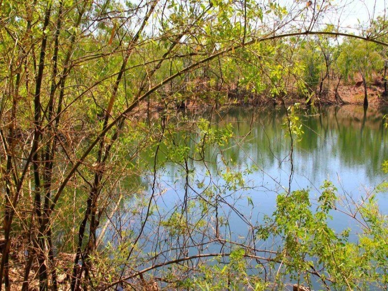85 Crater Lake Road, Batchelor NT 0845