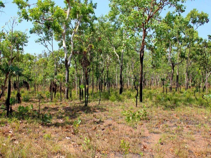 85 Crater Lake Road, Batchelor NT 0845