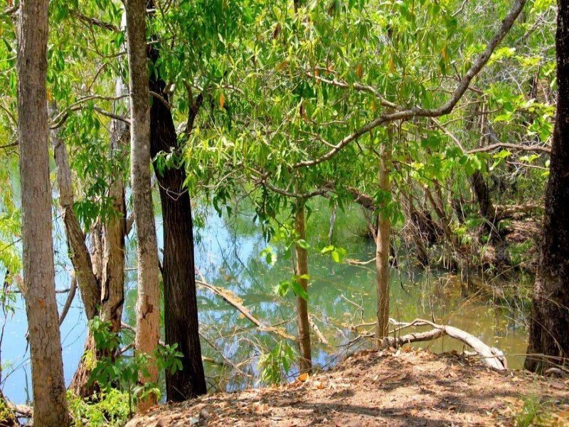 85 Crater Lake Road, Batchelor NT 0845