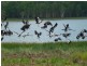 445 Chinner Road, Lake Bennett NT 0822