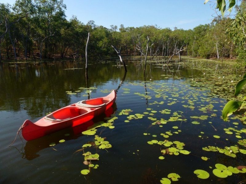 445 Chinner Road, Lake Bennett NT 0822