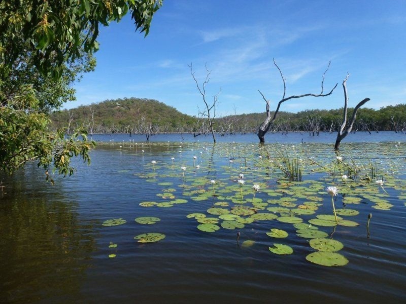 445 Chinner Road, Lake Bennett NT 0822