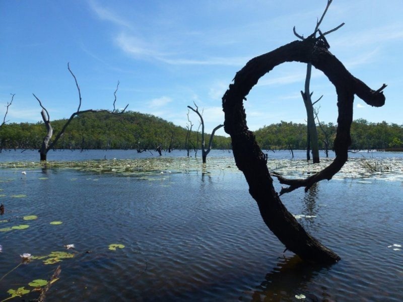 445 Chinner Road, Lake Bennett NT 0822