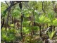 445 Chinner Road, Lake Bennett NT 0822