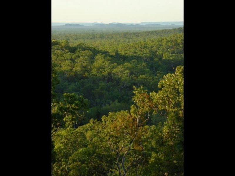 445 Chinner Road, Lake Bennett NT 0822
