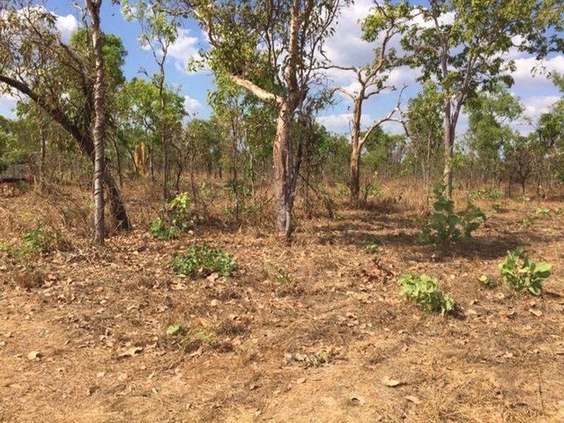 420 Wright Road, Marrakai NT 0822