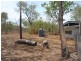 Section 52 McKinlay Road, Herbert NT 0836