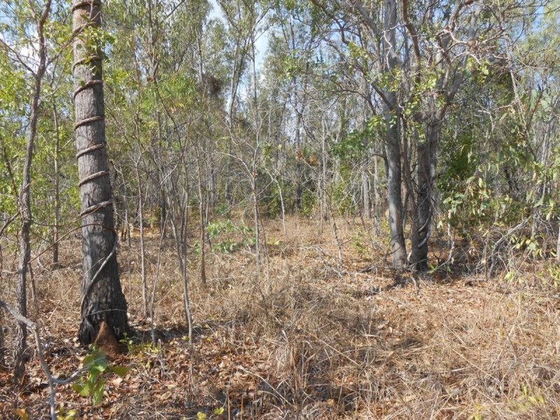 47 Erickson Crescent, Wagait Beach NT 0822