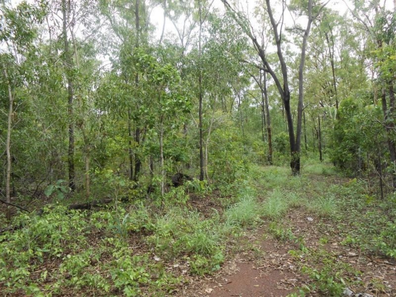 16 Head Court, Wagait Beach NT 0822