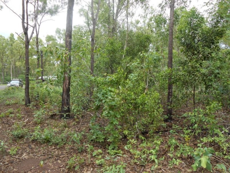 16 Head Court, Wagait Beach NT 0822