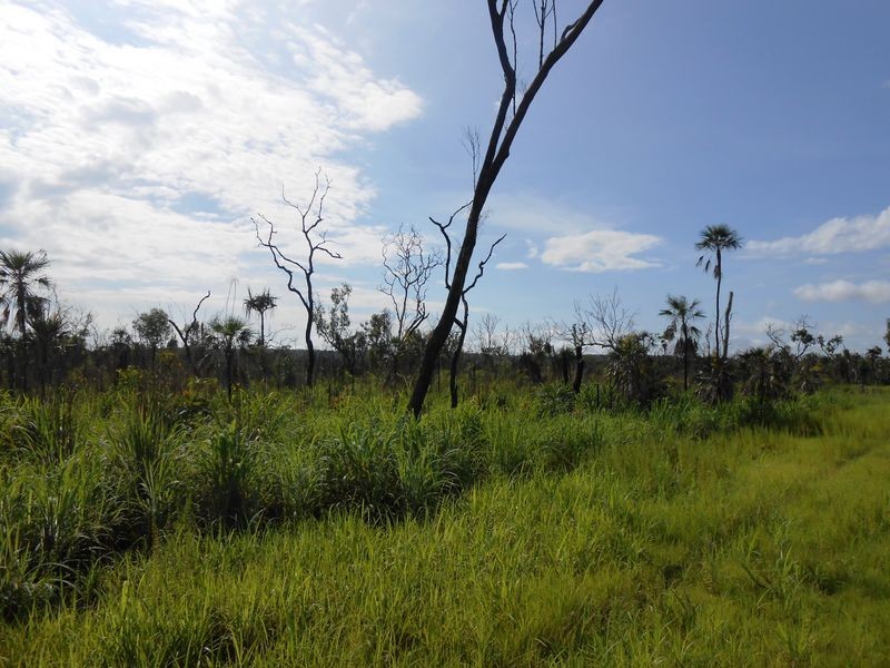 335 Darwin River Road, Darwin River NT 0841