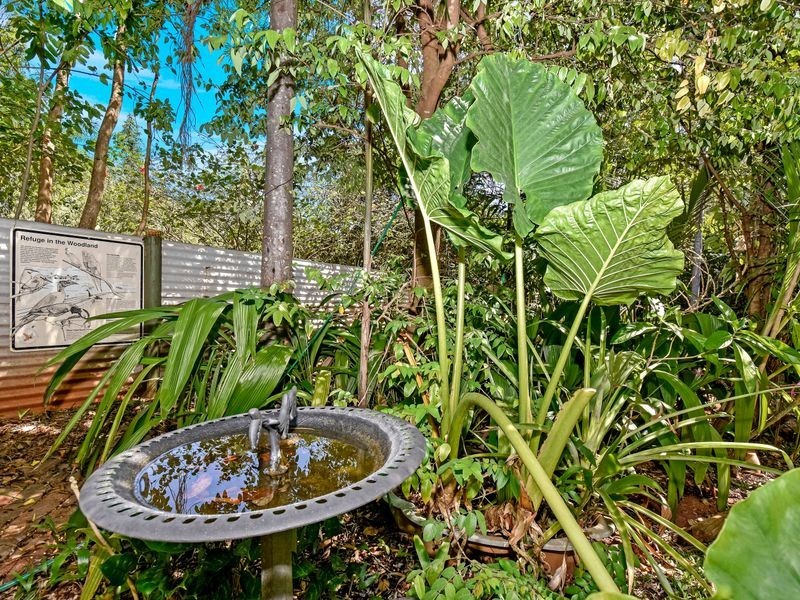 29 Wandaree Street, Batchelor NT 0845