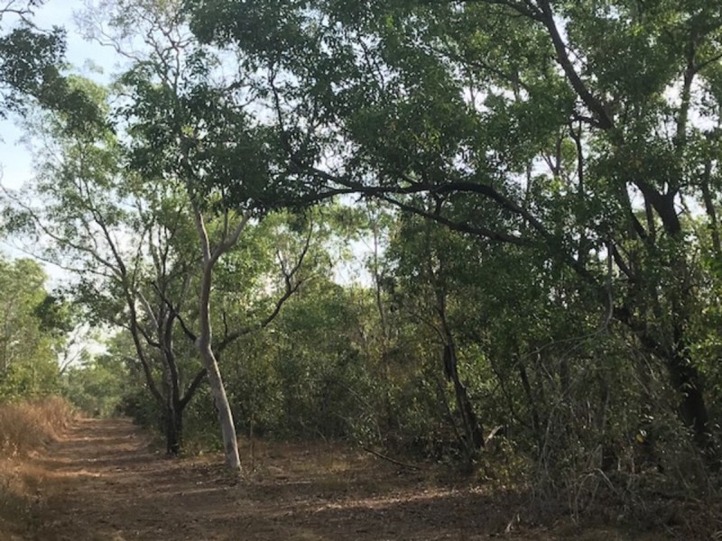 104 Myrmidon Circuit, Dundee Beach NT 0840