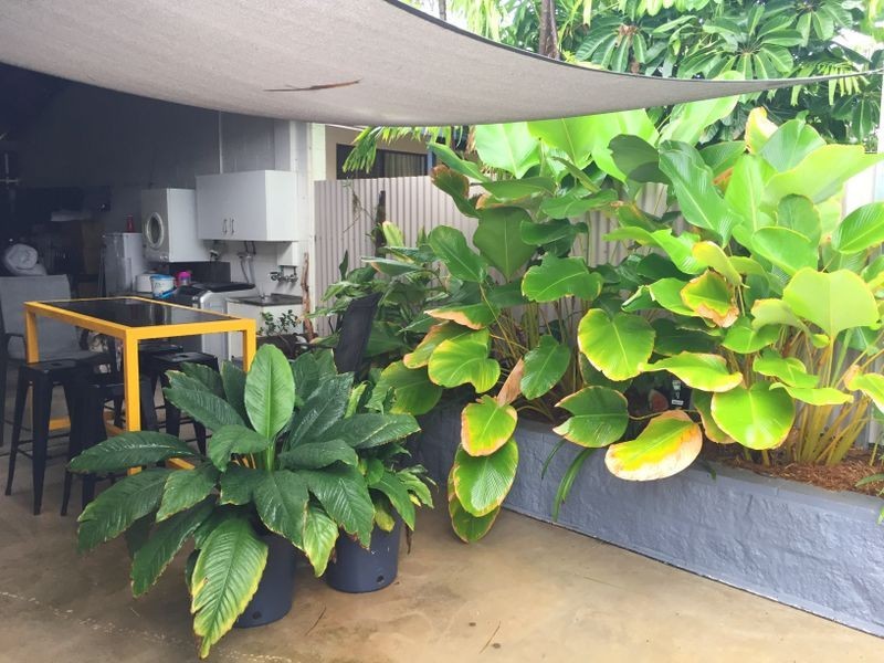 11 Exmouth Court, Leanyer NT 0812