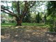7 Clancy Street, Fannie Bay NT 0820