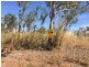 530 Miles Road, Batchelor NT 0845
