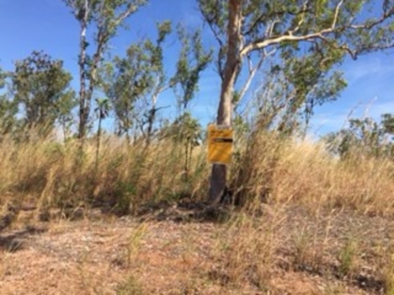 530 Miles Road, Batchelor NT 0845
