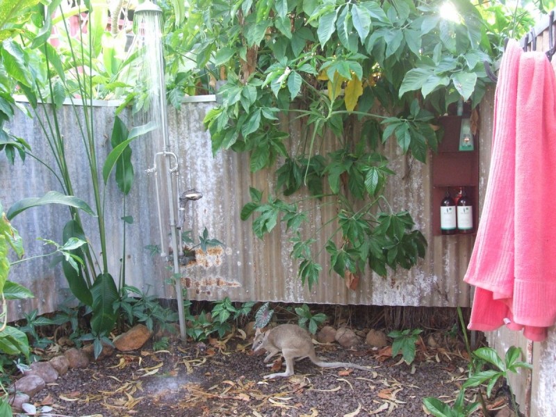 470 Miles Road, Batchelor NT 0845