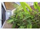 2 Morton Street, Durack NT 0830