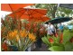 9 Somerville Gardens, Parap NT 0820