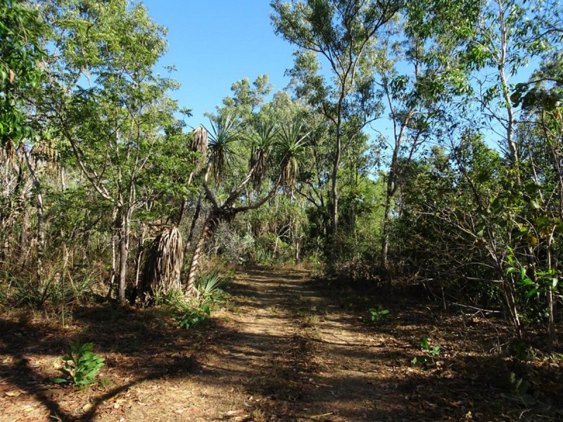 33 Uhr Road, Wagait Beach NT 0822