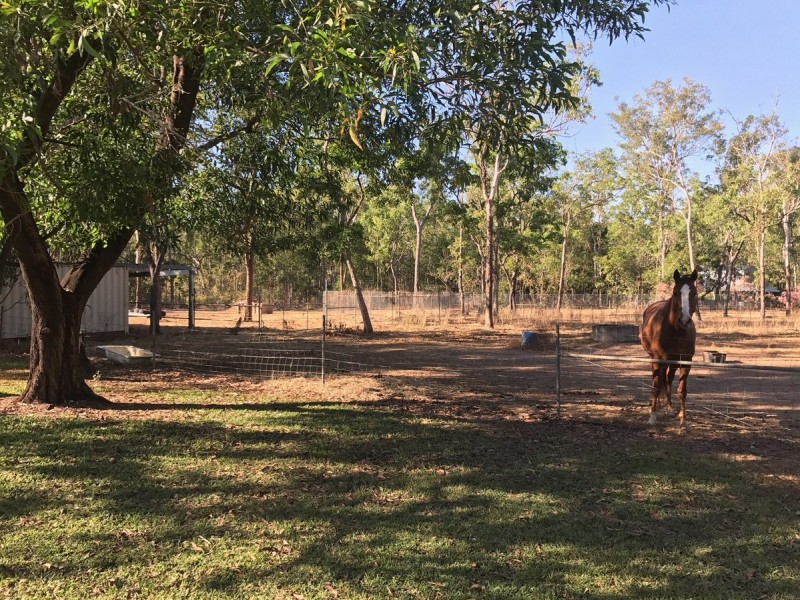 19 Aplin Road, Girraween NT 0836