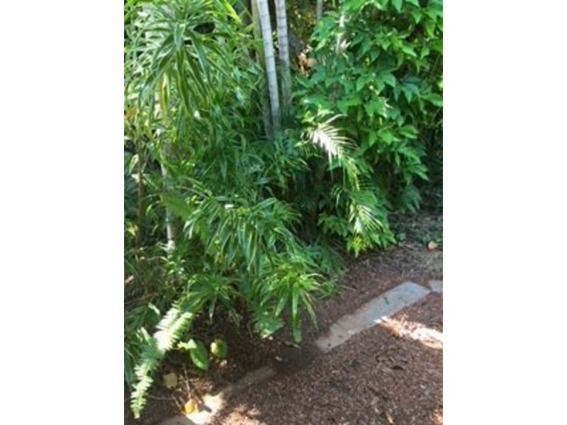 20 Naranga Street, Batchelor NT 0845