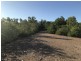 91B Kinnerley Road, Virginia NT 0834