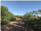 91B Kinnerley Road, Virginia NT 0834