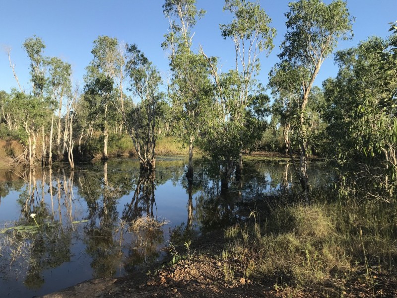91B Kinnerley Road, Virginia NT 0834
