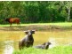 6 McHenry Road, Acacia Hills NT 0822